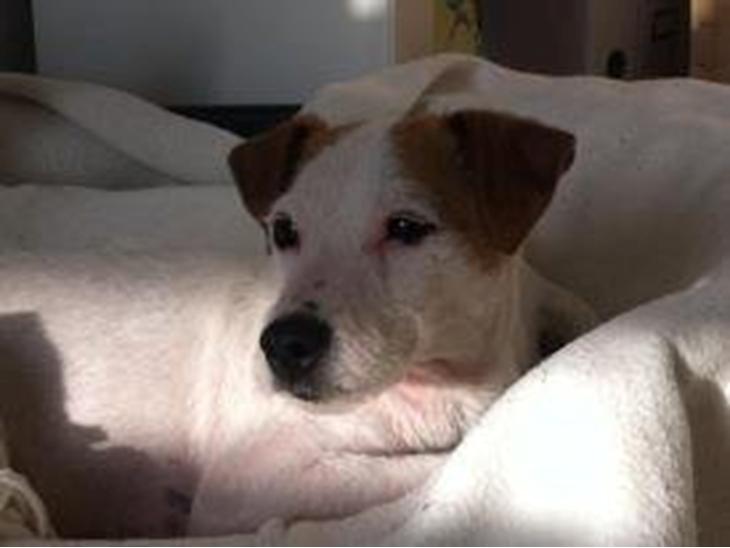 {{currentPhoto.altText}} billede {{currentPhoto.number}}