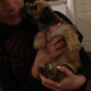 Blanding af racer Luna