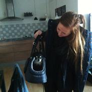 Chihuahua You're Beautiful Marc Antonio