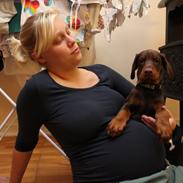 Dobermann Proud Danish Fantastic Fighter