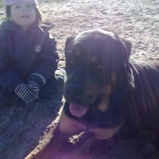 Blanding af racer Alice