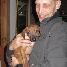 Rhodesian ridgeback Ellemosens U.S Ebba ( Leika )