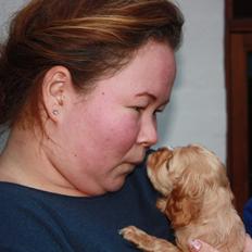 Blanding af racer Bello