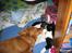 Nova scotia duck tolling retriever Malou - Katte glade hund! <3