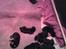 Beauceron Satchmo`s Yappi - Valper 1 uke gammel