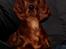 Irsk setter Cody R.F.S (run free sweetheart)  - Cody 17 uger gammel
