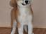 Akita inu Harou Go - Harou Go ca. 4 mdr.