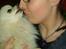 Blanding af racer Amaiya <3 Himmelhund <3