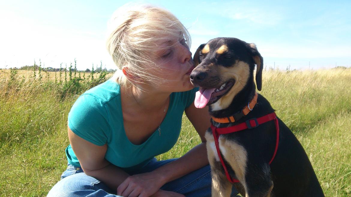 Blanding af racer Diva billede 5