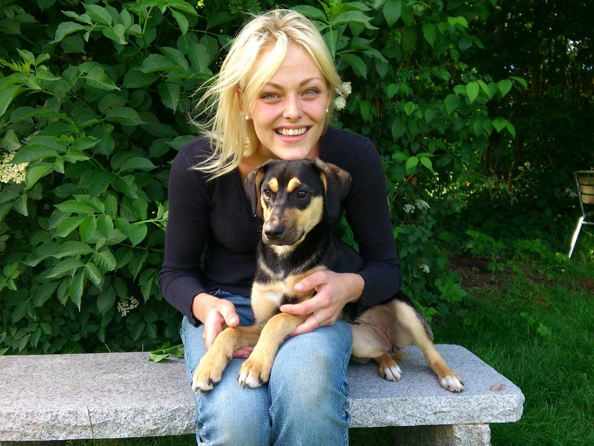 Blanding af racer Diva billede 2