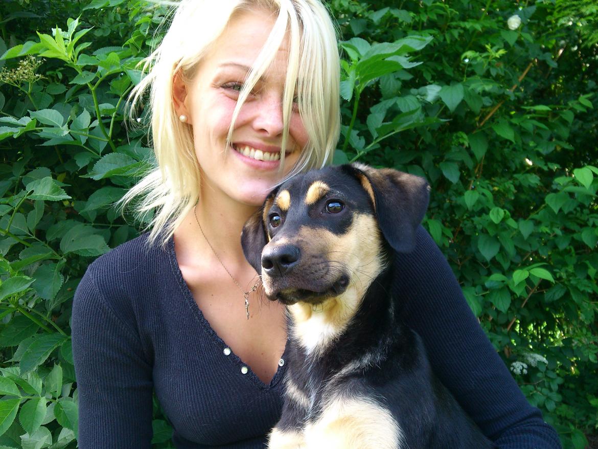 Blanding af racer Diva billede 8