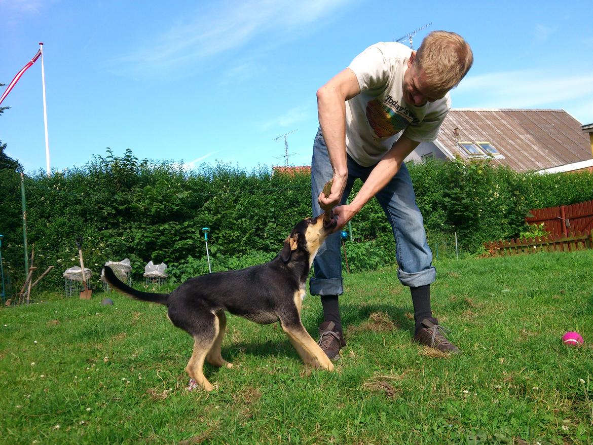 Blanding af racer Diva billede 9