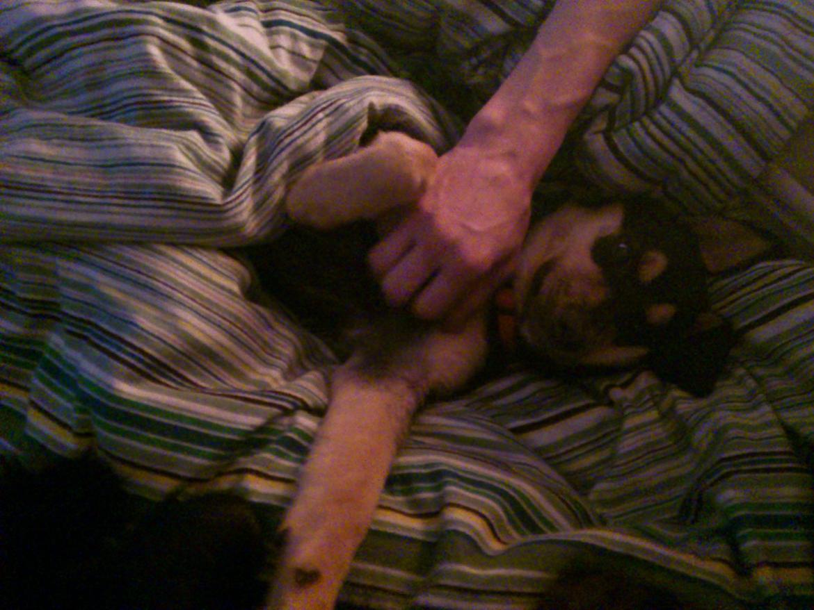 Blanding af racer Diva billede 18