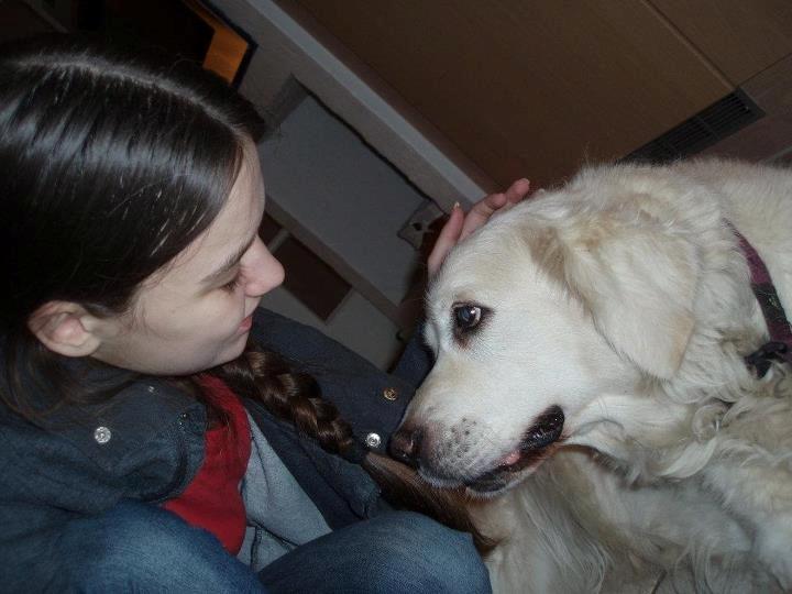 Golden retriever Debbie billede 5