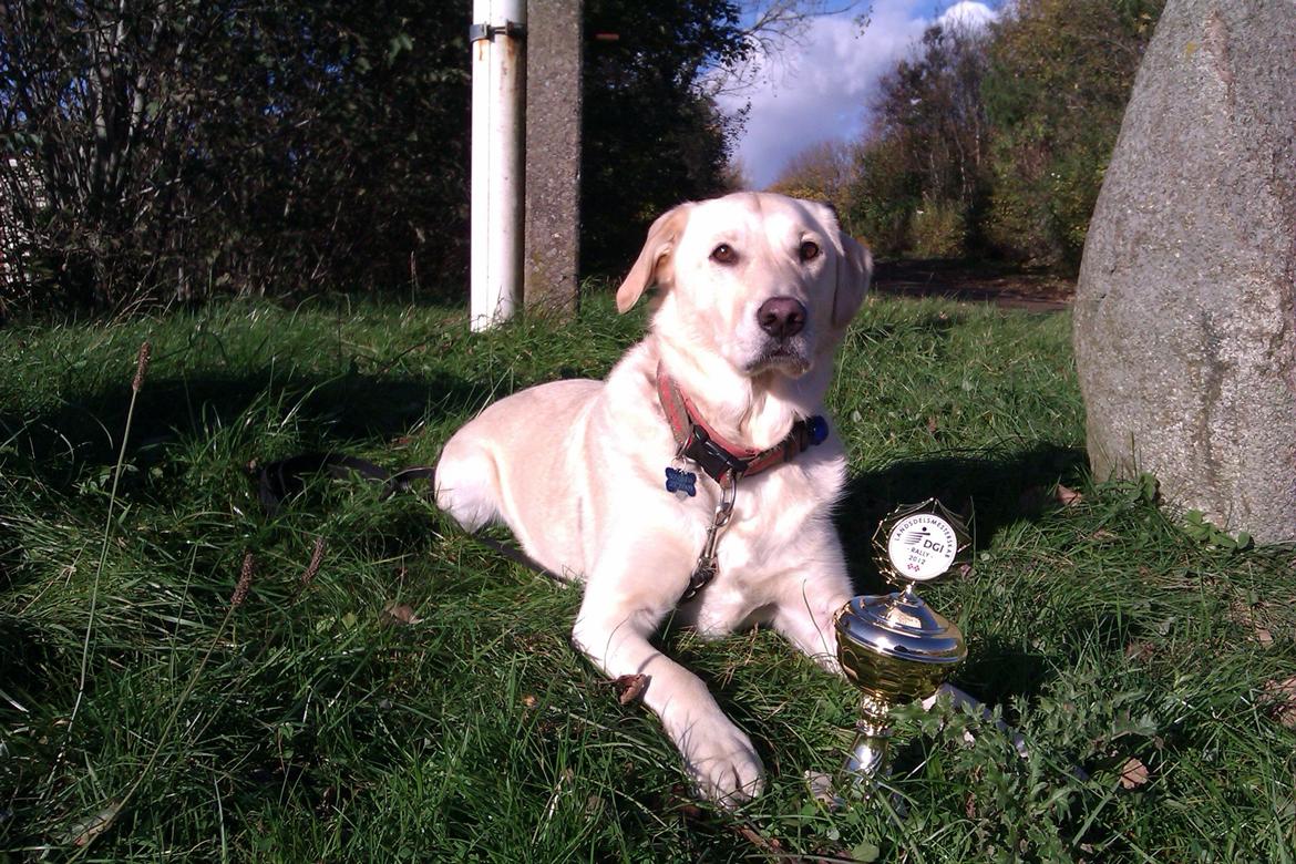 Blanding af racer Fnug - Fnug oktober 2012 billede 16