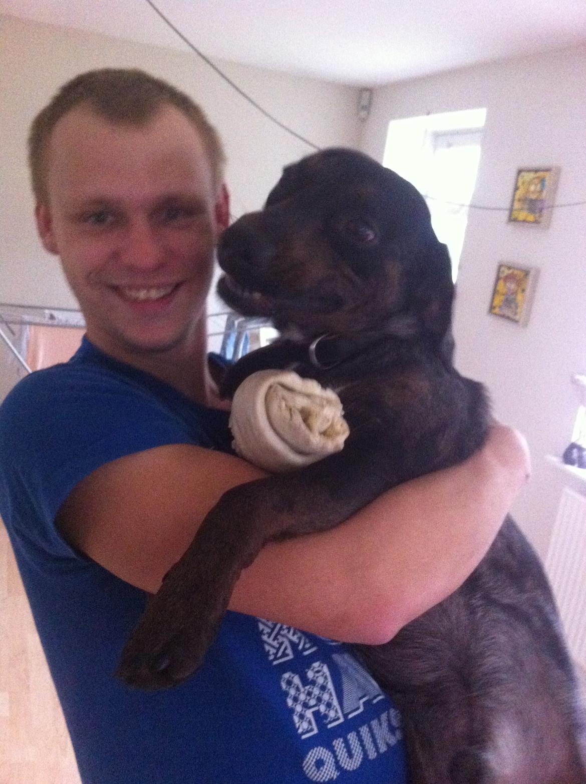 Blanding af racer Sofus billede 9