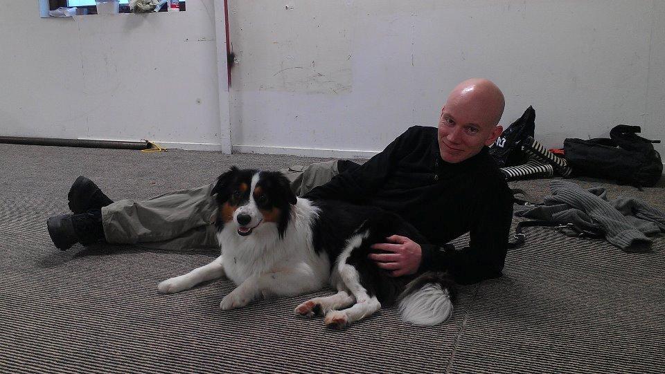 Border collie Patchie - En lille pause i træningen billede 2