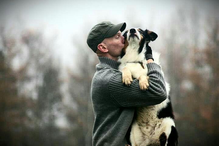 Border collie Patchie billede 19