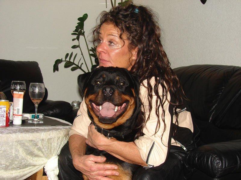 Rottweiler Sjellebro Djernis (Boris) billede 1