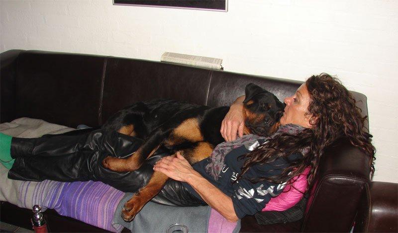 Rottweiler Sjellebro Djernis (Boris) billede 14