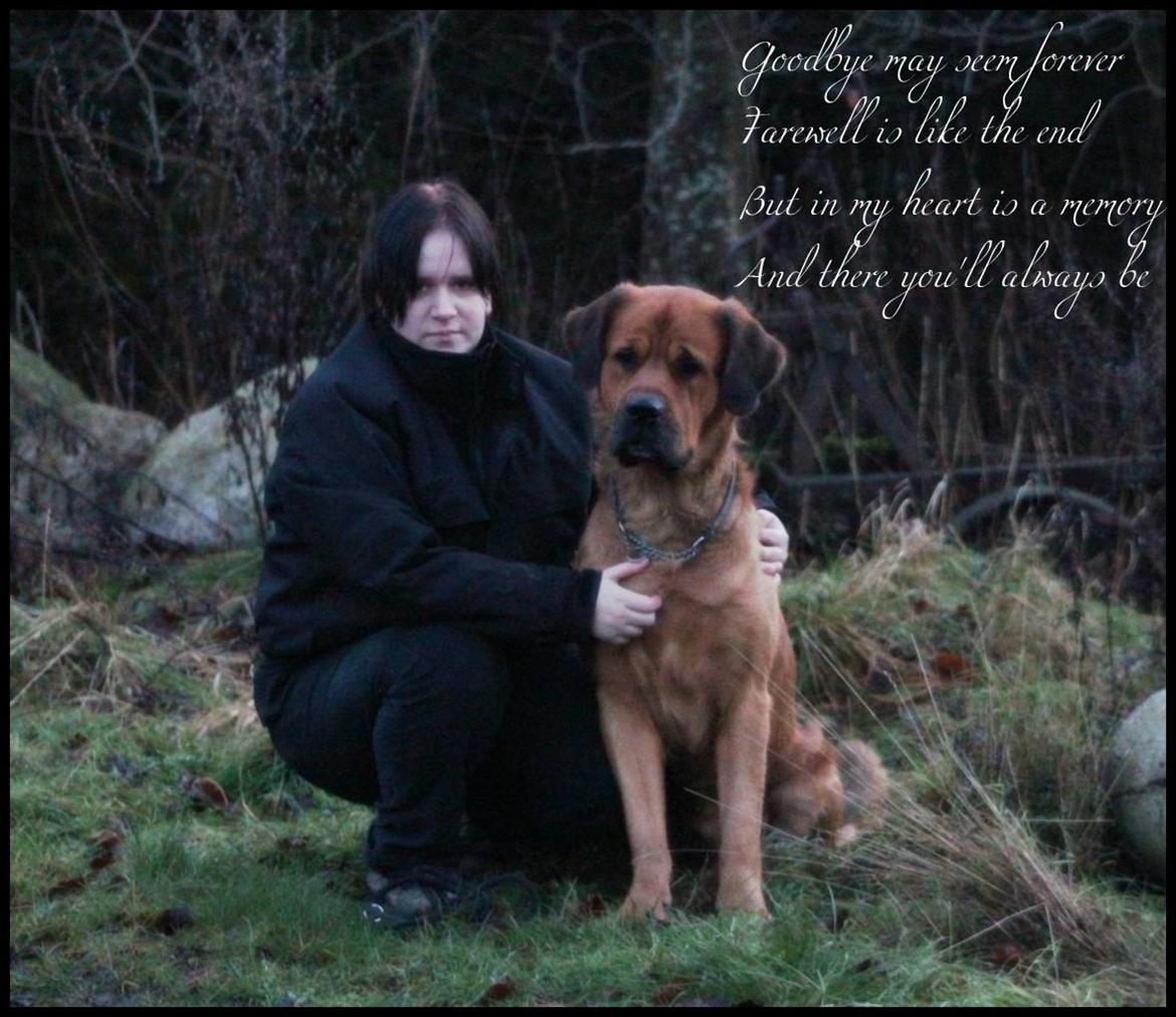 Blanding af racer Buster - Det allersidste billede billede 10