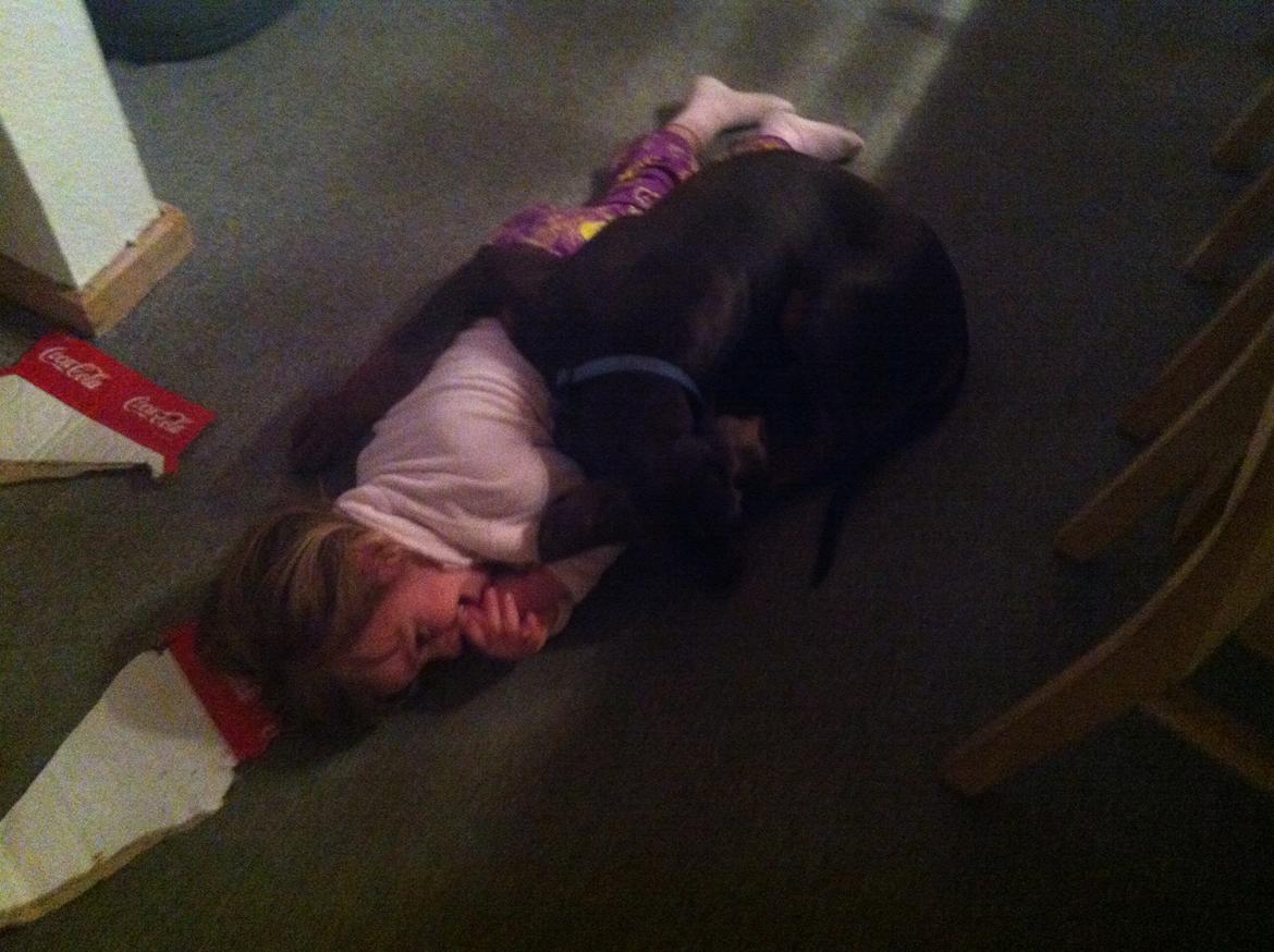 Dobermann Proud Danish Fresh Falcon (Morgan) - vi hygger og putter på gulvet, "søster" og jeg... billede 10