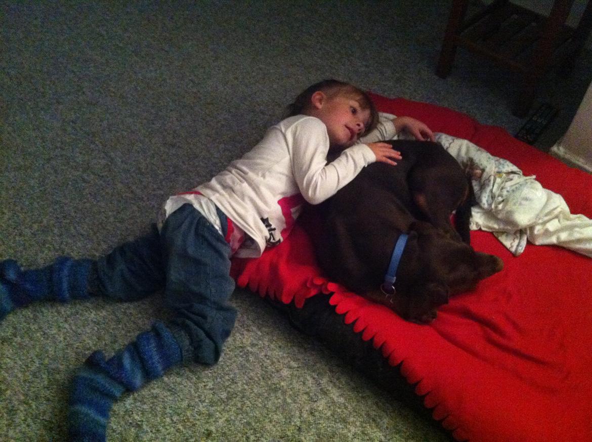 Dobermann Proud Danish Fresh Falcon (Morgan) - så hygger vi igen... men hun bliver altså sur når jeg fiser....!? billede 16