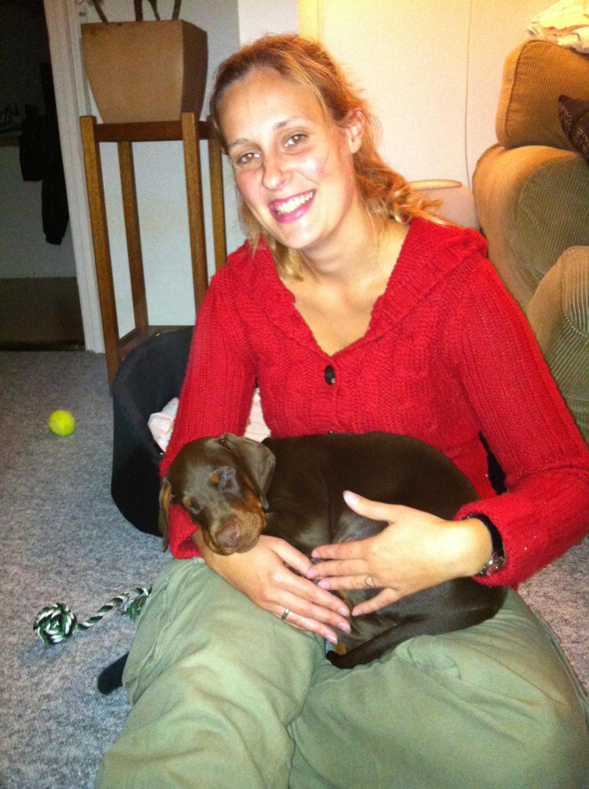 Dobermann Proud Danish Fresh Falcon (Morgan) - 1. aften i "familiens skød" billede 4