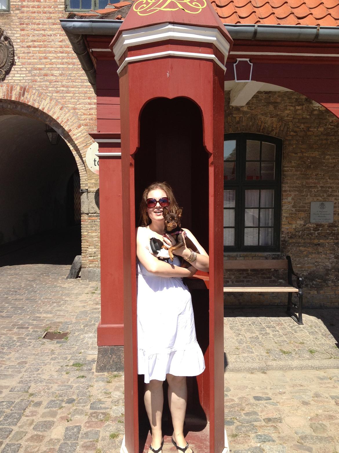 Blanding af racer Muffin - En sommerdag med familien på kastellet, mobber syntes det var alletiders med alle de ænder, svaner, og gæs der gik der og dovnede...hehe lad os se om jeg kan få dem alle til at lette på en gang..uden mor eller far når at stoppe mig... billede 14