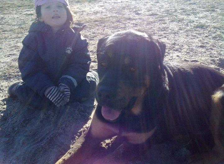 Blanding af racer Alice billede 2