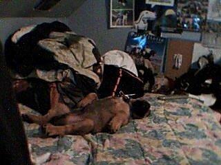 Blanding af racer Buster billede 11