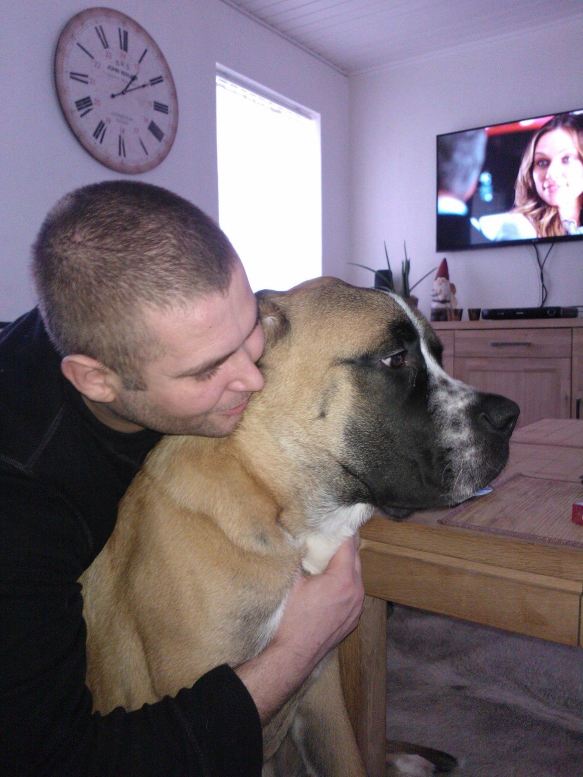 Blanding af racer Leon billede 14