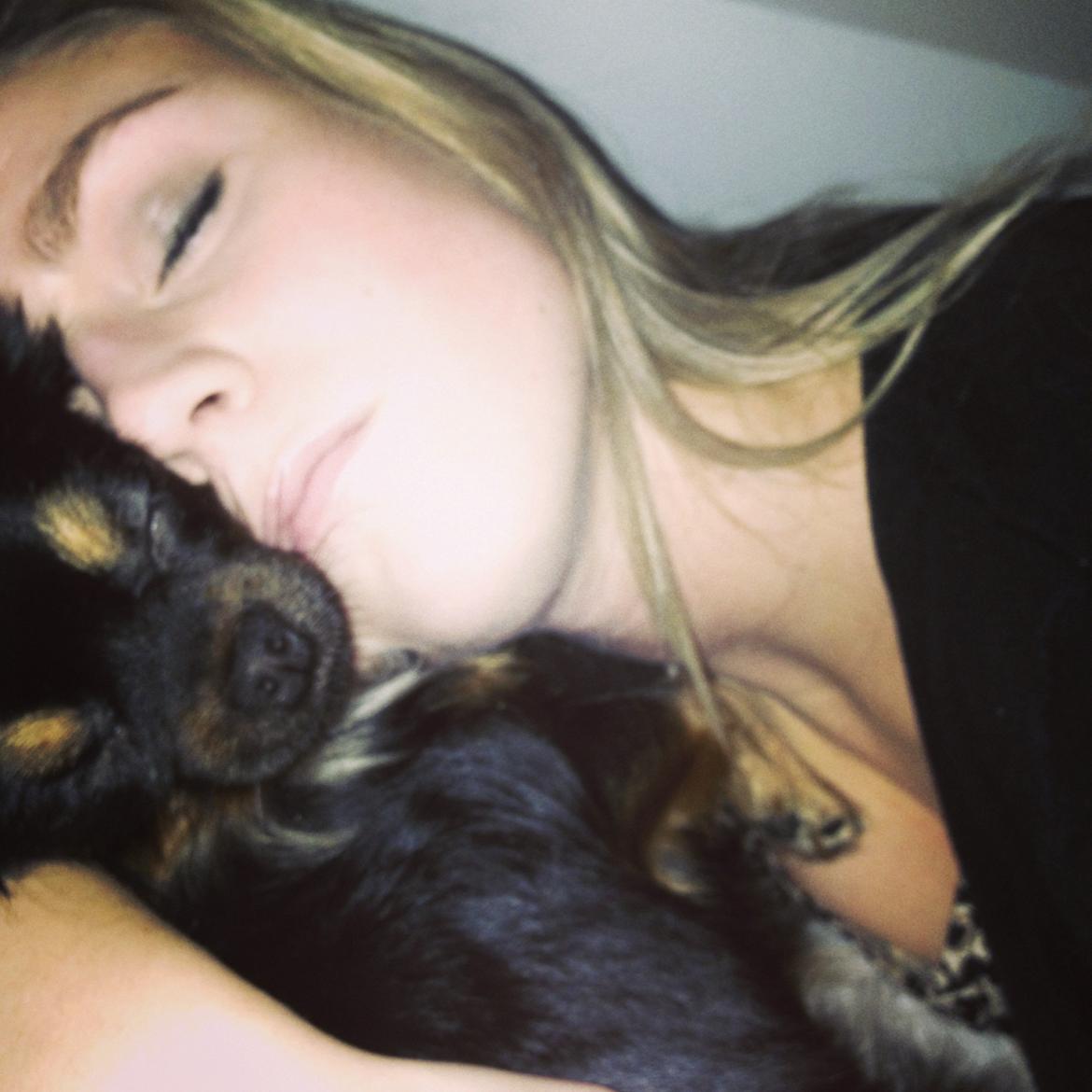 Chihuahua Pablo - mors baby. billede 13