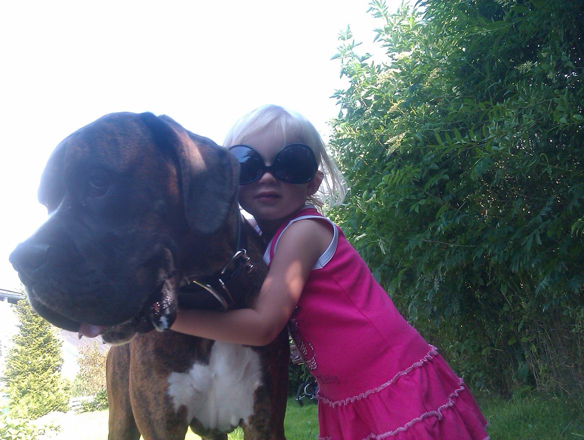 Blanding af racer Elvis billede 3