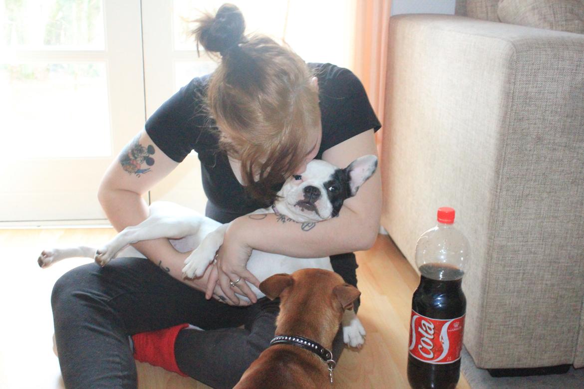 Fransk bulldog Mors prinsesse Lilje - Min søde mor ;))<3 billede 13