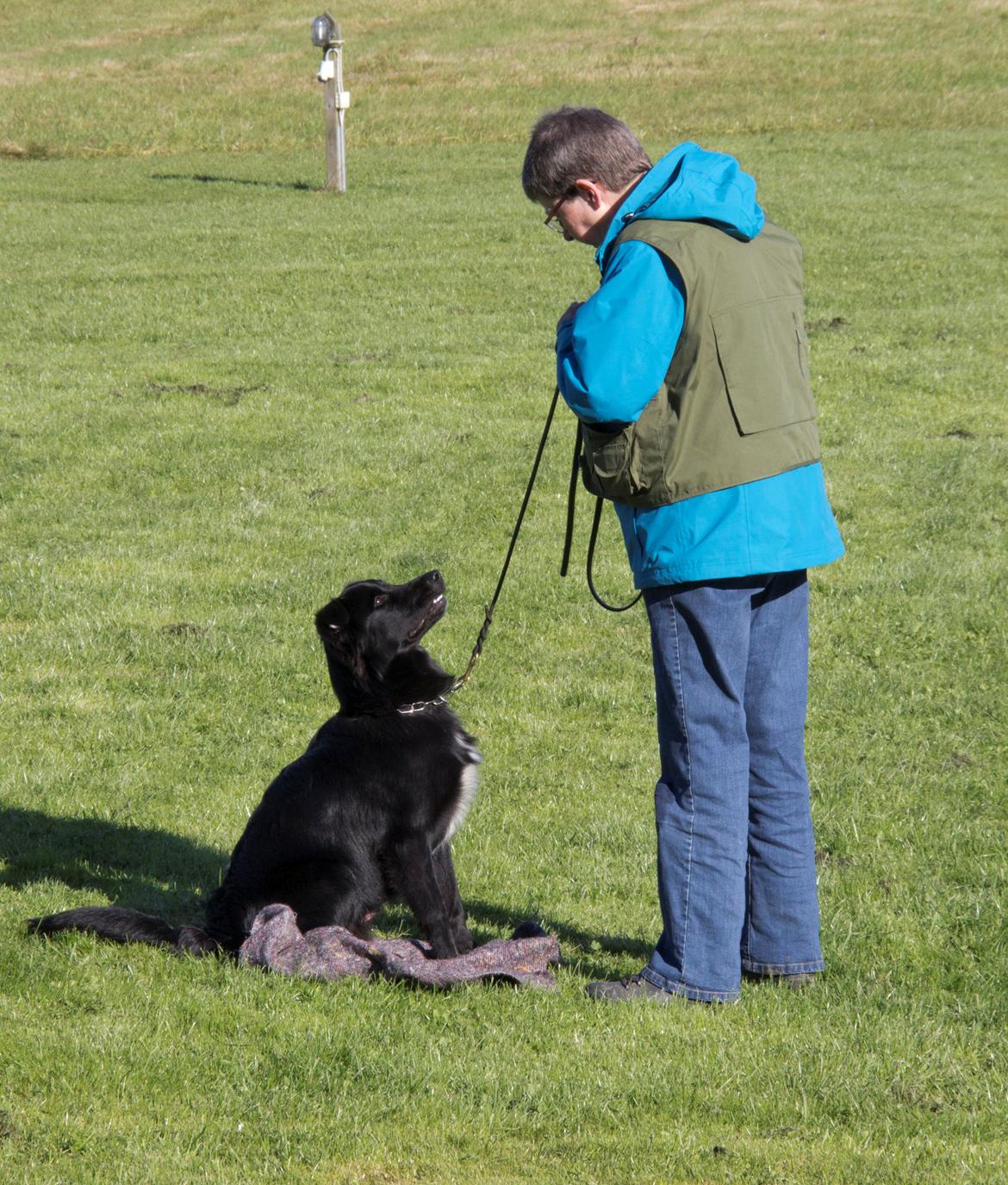 Blanding af racer Alfred - 6 mdr. træning billede 5