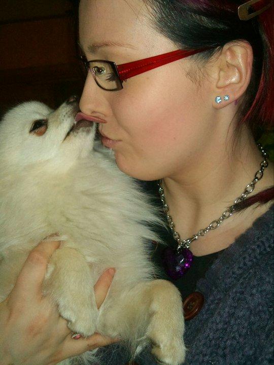 Blanding af racer Amaiya <3 Himmelhund <3 billede 13