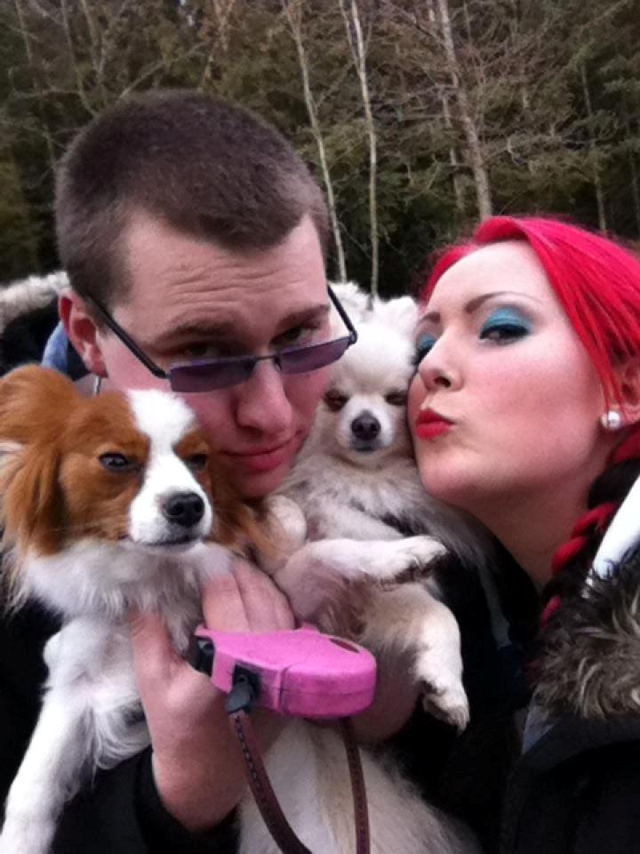 Blanding af racer Amaiya <3 Himmelhund <3 billede 17