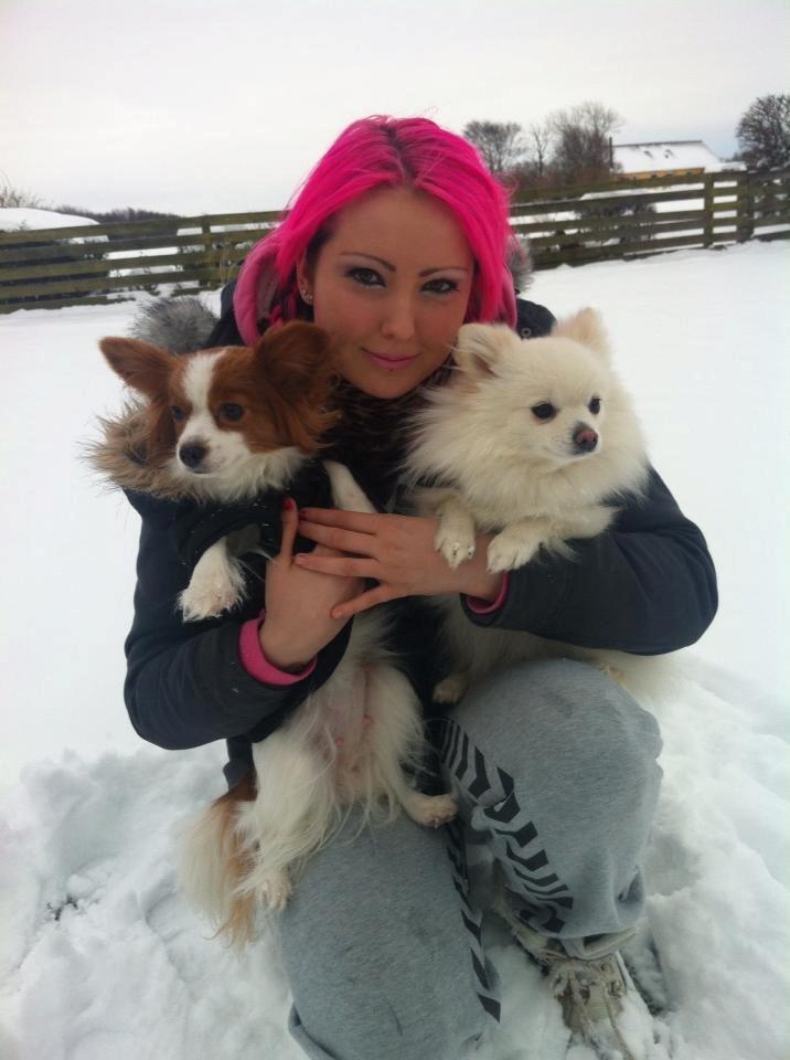 Blanding af racer Amaiya <3 Himmelhund <3 billede 18