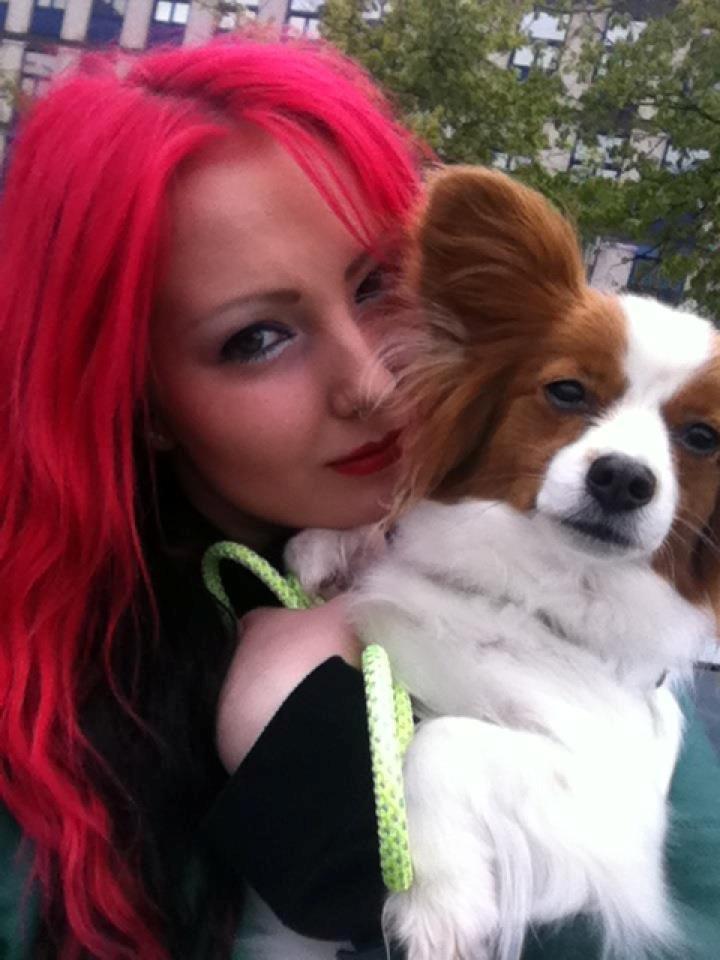 Papillon Avalee aka Ene Herskeren billede 18