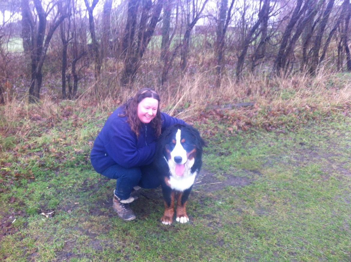 Berner sennenhund Conrad - Lotte og Conrad ;-) billede 13