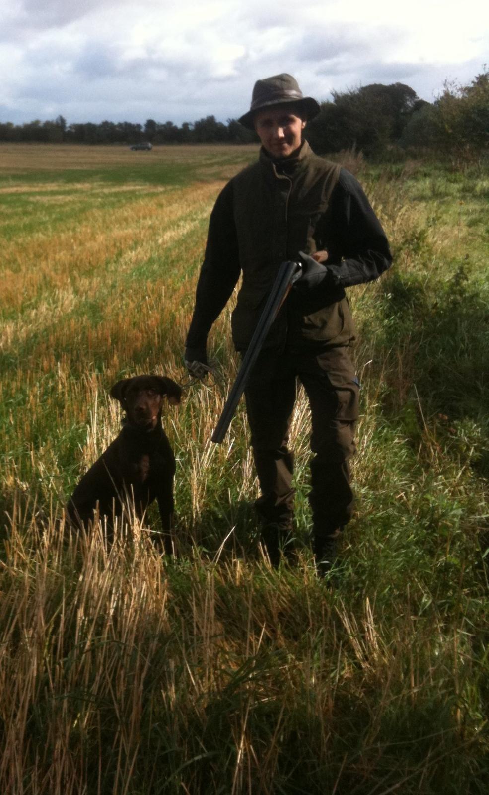 Blanding af racer Balder billede 6