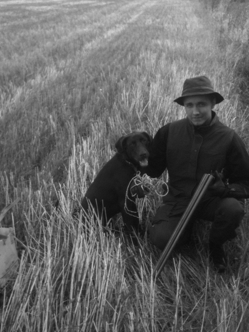 Blanding af racer Balder billede 7