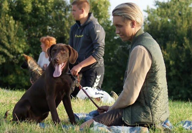 Blanding af racer Balder billede 8