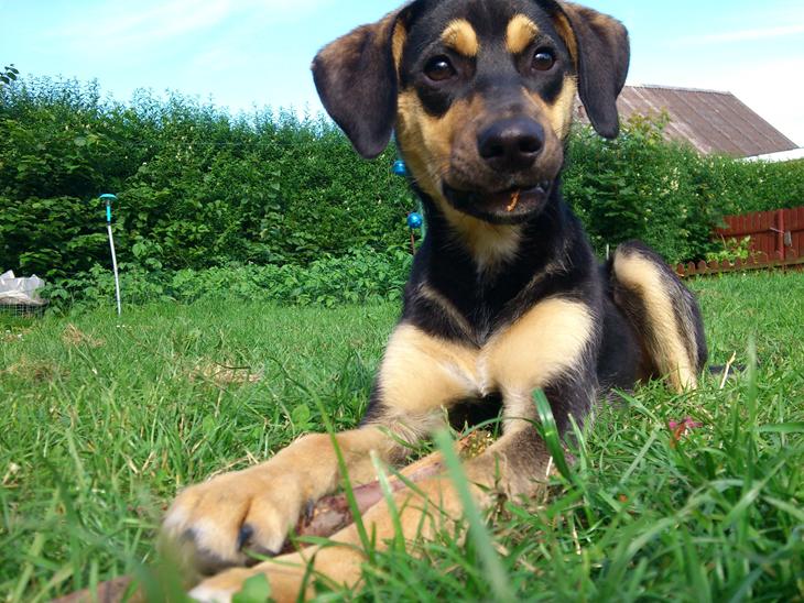 {{currentPhoto.altText}} billede {{currentPhoto.number}}