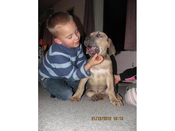 {{currentPhoto.altText}} billede {{currentPhoto.number}}