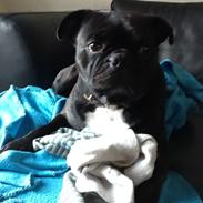 Blanding af racer Mickey