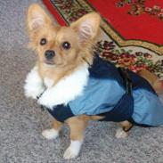 Blanding af racer Miley