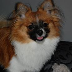 Blanding af racer **** Messi ****