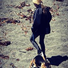 Beagle Basil